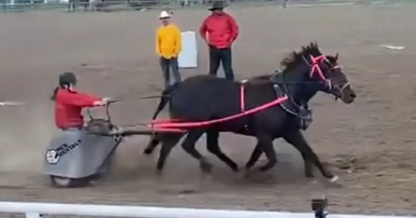 Chuck wagon race